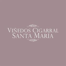 Viñedos Cigarral Santa Maria, Toledo