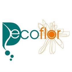 Decoflor, Zaragoza
