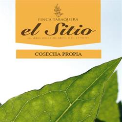 Finca Tabaquera El Sitio, S.l., Breña Alta