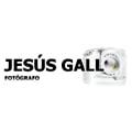 Jesús Gallo, Ávila