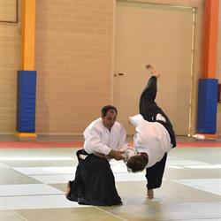 Aikido, Madrid