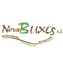 Control Plagas Nova Buxos, Ourense