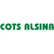 Cots Alsina Sl Autocars i Microbusos Servei Discrecional i Regulars, Cervera