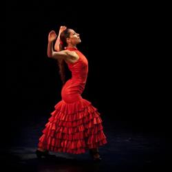 Flamenco Export, Madrid