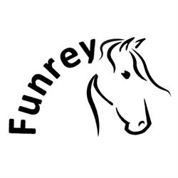 Funrey, Sevilla