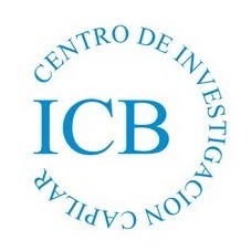Instituto Cientifico Capilar ICB Bellido, Madrid