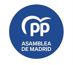 Asamblea, Madrid