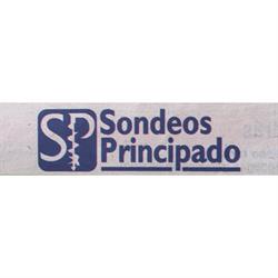 Sondeos Principado, Silvota
