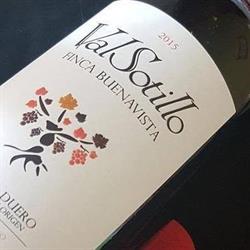 Bodegas Ismael Arroyo S.l., Sotillo de la Ribera