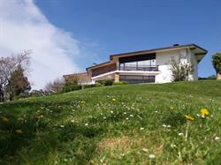 Club Martiartu, Goiherri