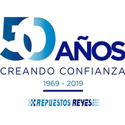 REPUESTOS REYES, Fuenlabrada