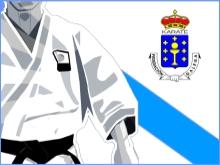 Federacion Gallega de Karate, Ferrol