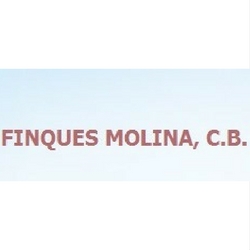 Finques Molina, Barcelona