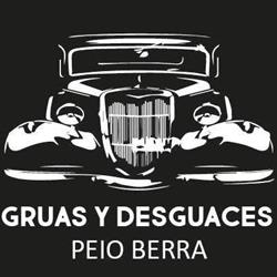 Desguaces Astigarraga
