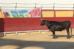 Peña Taurina Pan y Toros, Vinaròs