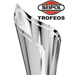 Trofeos Seipol, Vigo