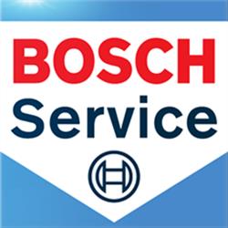 Bosch Car Service Talleres Félix Llanos, Los Tanagos