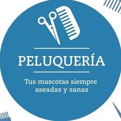 Piensos Lozano S.l., Molina de Segura
