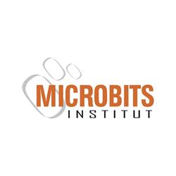 Microbits - Institut Dinformatica Aplicada, Tarragona