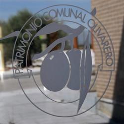 Patrimonio Comunal Olivarero, Mora