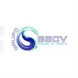 Grupo Bscv, Elche