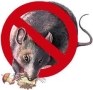 Ecoplaga - Control de Plagas, Pontevedra