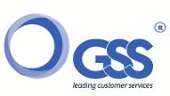 Gss Venture, S.l, Madrid