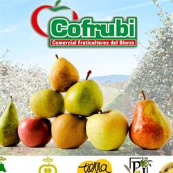 S.a.t. Comercial Fruticultores Del Bierzo A., Carracedelo