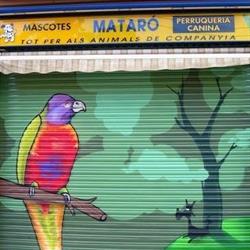 Mascotas Mataro