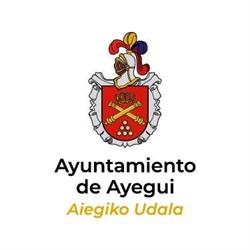 Ayuntamiento de Ayegui, Aiegi