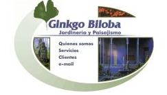 Ginkgo Biloba Jardinería y Paisajismo, Oviedo