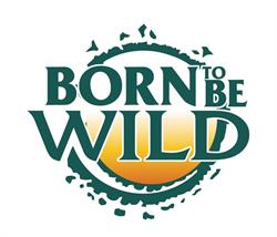 Born To Be Wild, Marbella