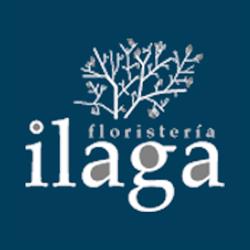 Floristería Ilaga, Tafalla
