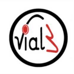 Vial 3, Solsona