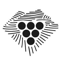 Vinicola Del Priorat, Gratallops