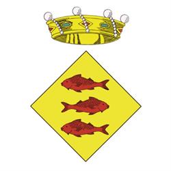 Ayuntamiento de Vallmoll (Ajuntament de Vallmoll)