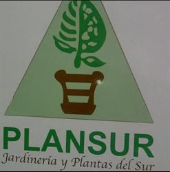 Plansur, Trebujena