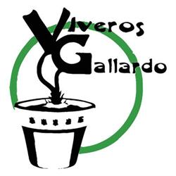 Viveros Gallardo, Logroño