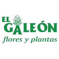 Floristería Huerta Del Galeón, Lucena