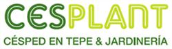 Cesplant, Valencia