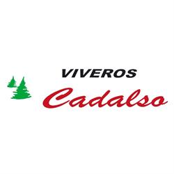 Viveros Cadalso, Cadalso de los Vidrios