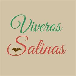 Viveros Salinas, San Pablo de Buceite
