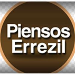 Errezil, Villabona