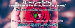 Cruz Flor, Cehegín
