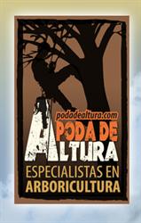 Poda de Altura, Miraflores de la Sierra