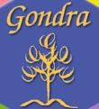 Gondra, Mungia