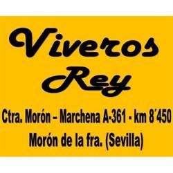 Viveros Rey (Morón F. - Sevilla)., La Ramira