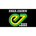 Enza Zaden Centro de Investigación, El Albujon