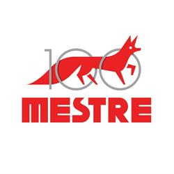 Agustin Mestre, Lleida