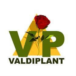 Viveros Valdiplant, Las Marinas